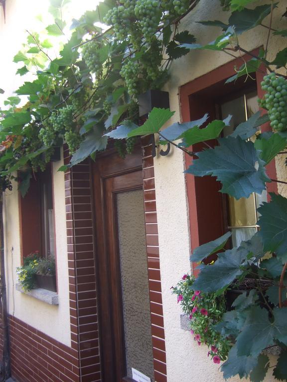 Kleines Winzerhauschen Villa Bremm Exterior foto